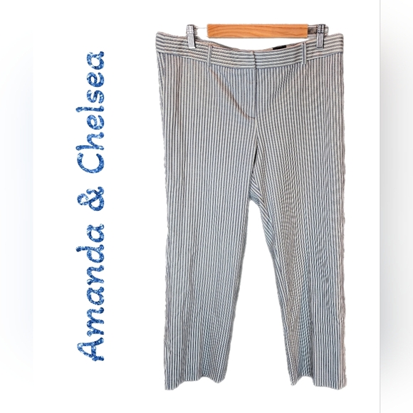Amanda & Chelsea Womens Pants sz 14 Blue-White Railroad Stripe Modern Fit Ankle - Picture 1 of 10